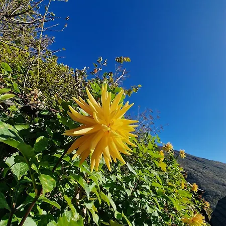 Casa Grande Falmenta