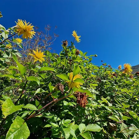 Casa Grande Nyaraló *