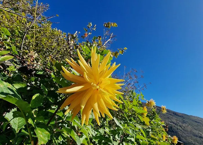 Casa Grande Falmenta