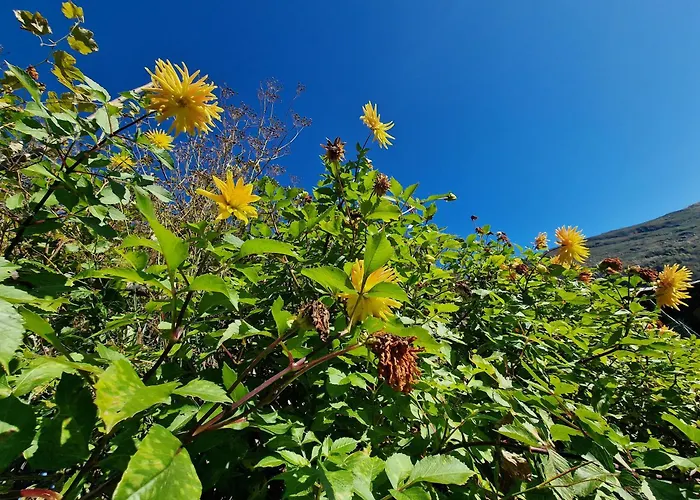 Casa Grande Hébergement de vacances *